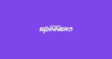 The Best Spinner Review featured